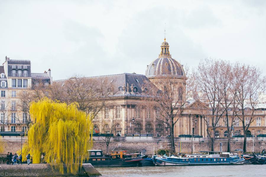 The Seine riverbank in Paris with golden trees
